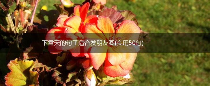下雪天的句子适合发朋友圈(实用50句),第1张