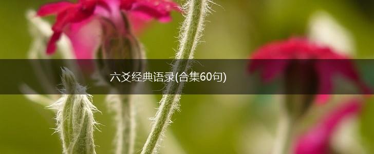 六爻经典语录(合集60句),第1张