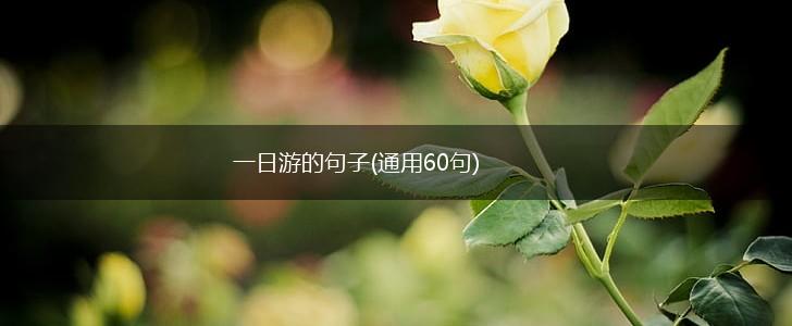 一日游的句子(通用60句),第1张