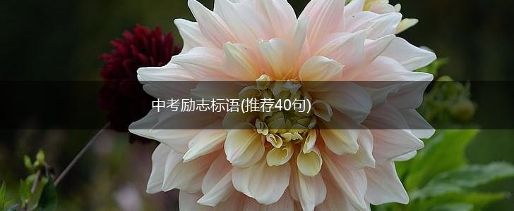 中考励志标语(推荐40句),第1张