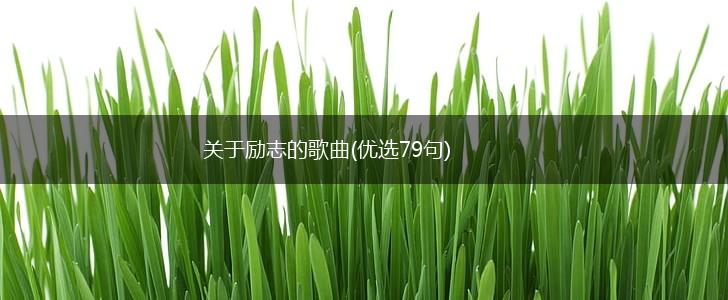 关于励志的歌曲(优选79句),第1张