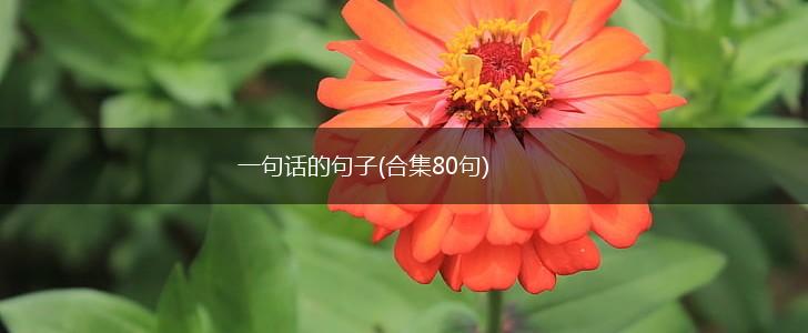 一句话的句子(合集80句),第1张