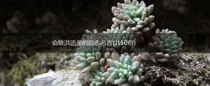 俞敏洪语录的励志名言(共50句),第1张