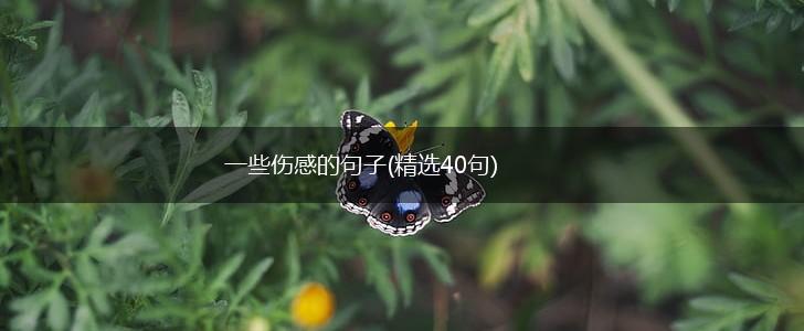 一些伤感的句子(精选40句),第1张