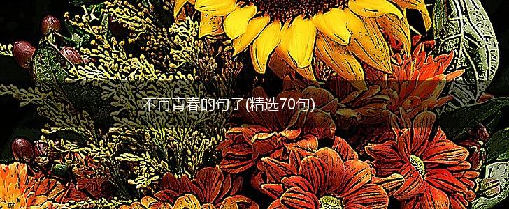 不再青春的句子(精选70句),第1张