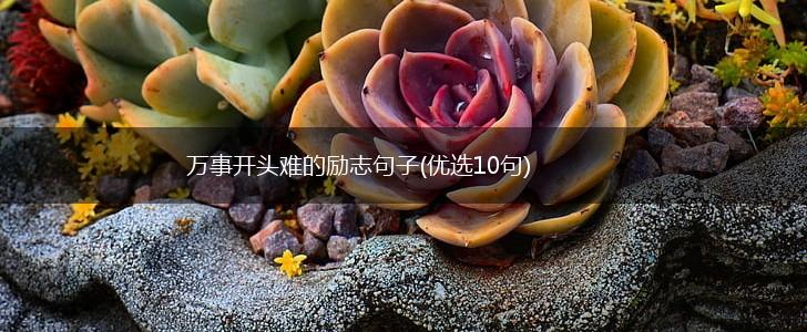 万事开头难的励志句子(优选10句),第1张