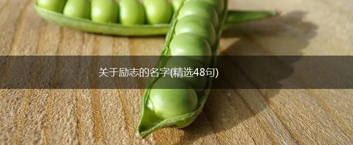 关于励志的名字(精选48句),第1张