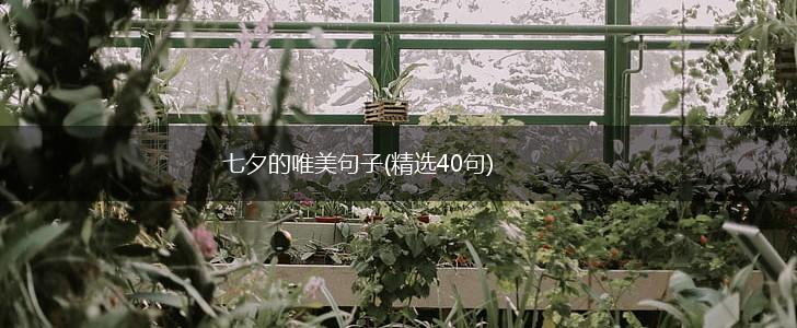 七夕的唯美句子(精选40句),第1张