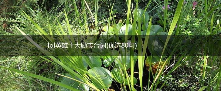 lol英雄十大励志台词(优选80句),第1张
