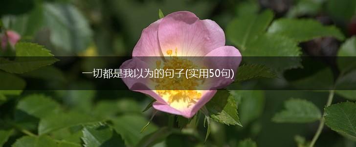 一切都是我以为的句子(实用50句),第1张