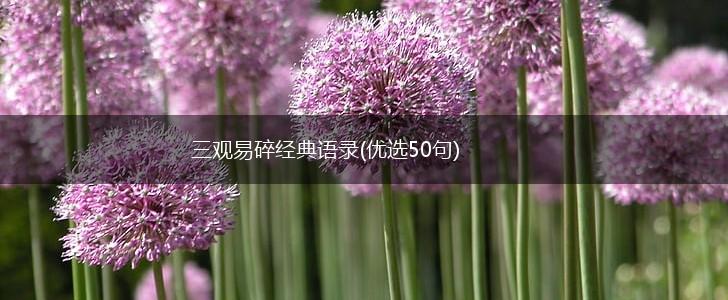 三观易碎经典语录(优选50句),第1张