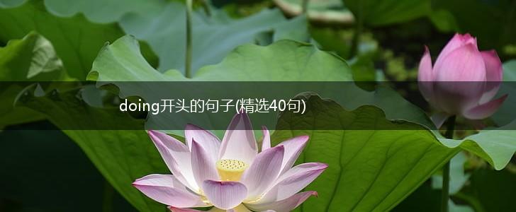 doing开头的句子(精选40句),第1张