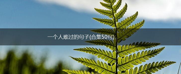 一个人难过的句子(合集50句),第1张