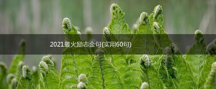 2021最火励志金句(实用60句),第1张