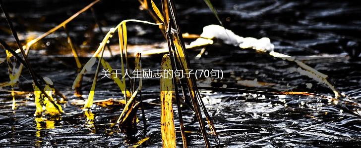关于人生励志的句子(70句),第1张