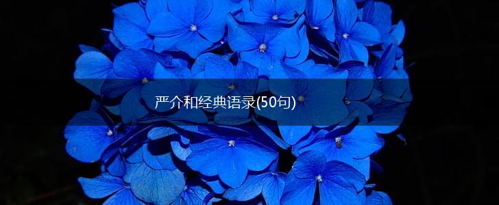 严介和经典语录(50句),第1张