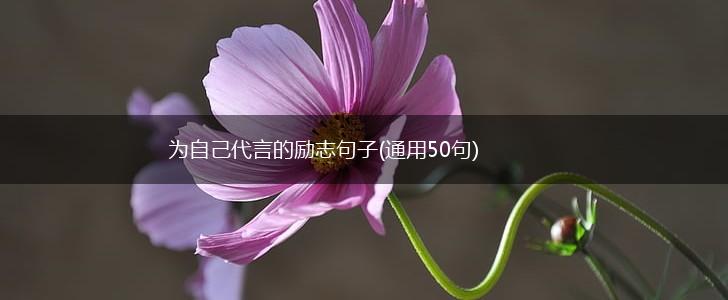 为自己代言的励志句子(通用50句),第1张