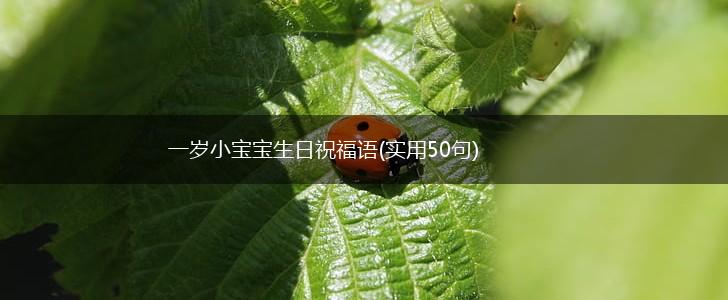 一岁小宝宝生日祝福语(实用50句),第1张