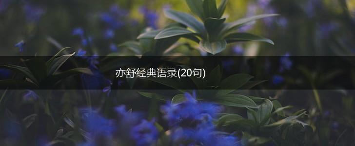 亦舒经典语录(20句),第1张