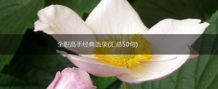 全职高手经典语录(汇总50句),第1张