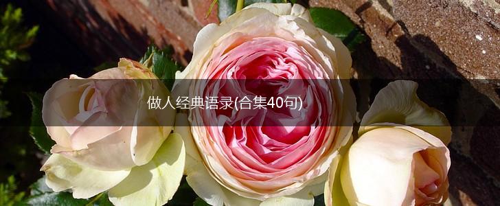 做人经典语录(合集40句),第1张