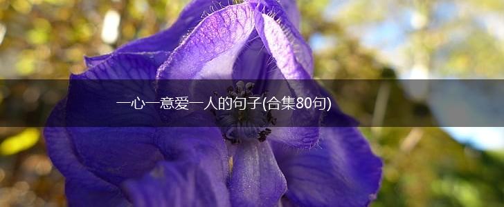 一心一意爱一人的句子(合集80句),第1张