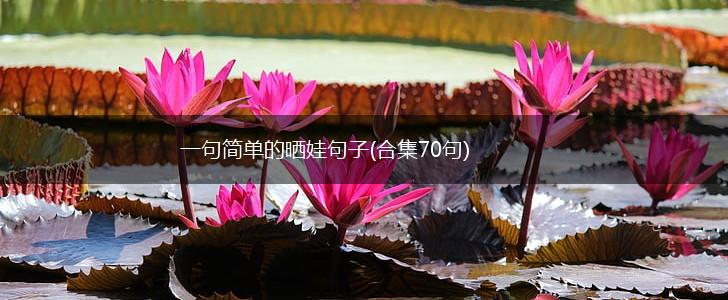 一句简单的晒娃句子(合集70句),第1张