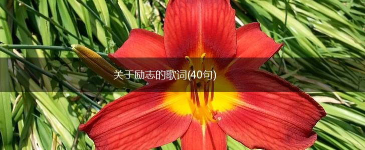 关于励志的歌词(40句),第1张