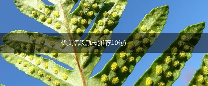 优美语段励志(推荐10句),第1张