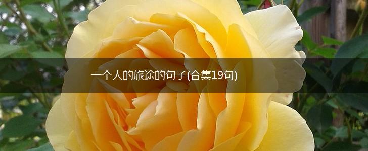 一个人的旅途的句子(合集19句),第1张