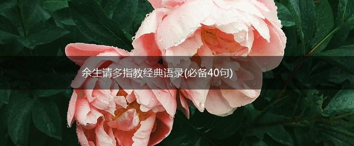 余生请多指教经典语录(必备40句),第1张