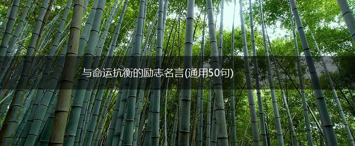 与命运抗衡的励志名言(通用50句),第1张