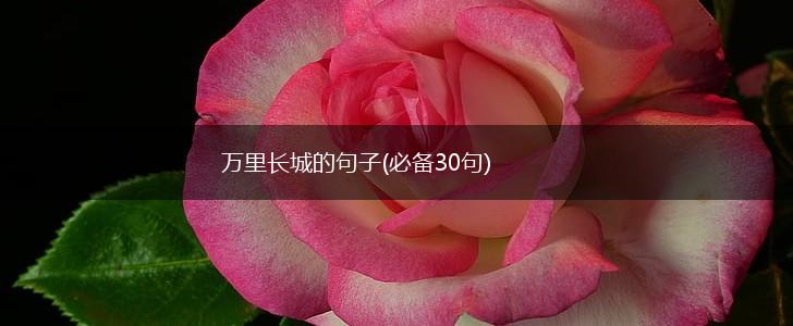 万里长城的句子(必备30句),第1张