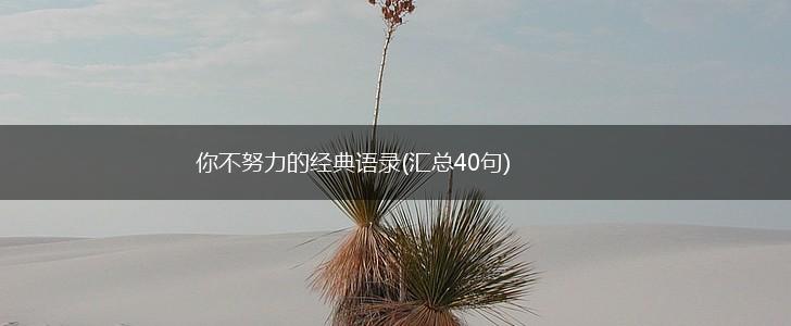你不努力的经典语录(汇总40句),第1张