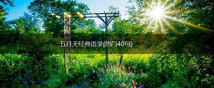 五月天经典语录(热门40句),第1张