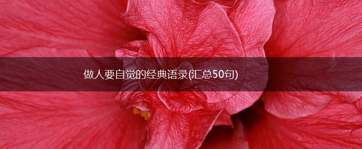 做人要自觉的经典语录(汇总50句),第1张