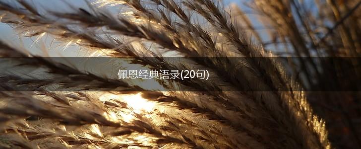 佩恩经典语录(20句),第1张