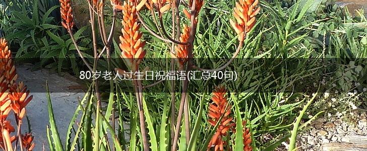 80岁老人过生日祝福语(汇总40句),第1张