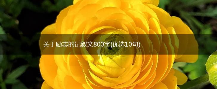 关于励志的记叙文800字(优选10句),第1张