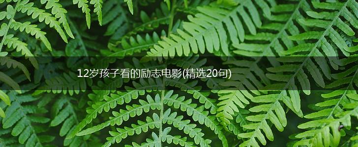 12岁孩子看的励志电影(精选20句),第1张