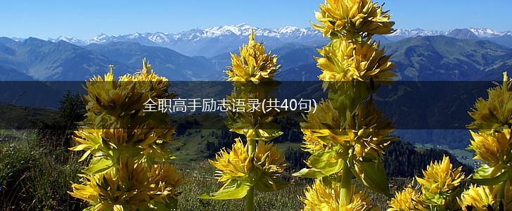 全职高手励志语录(共40句),第1张