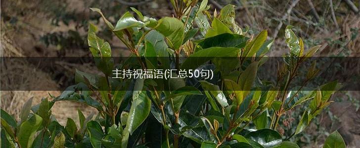 主持祝福语(汇总50句),第1张