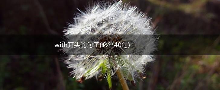 with开头的句子(必备40句),第1张