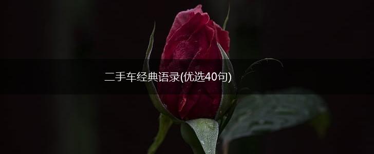 二手车经典语录(优选40句),第1张