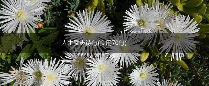 人生励志诗句(实用70句),第1张