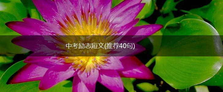 中考励志短文(推荐40句),第1张