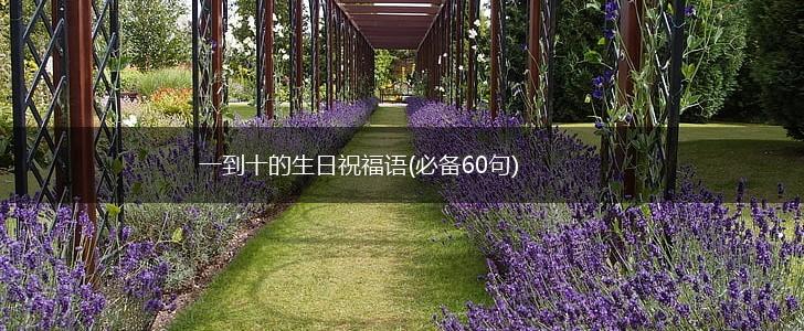 一到十的生日祝福语(必备60句),第1张