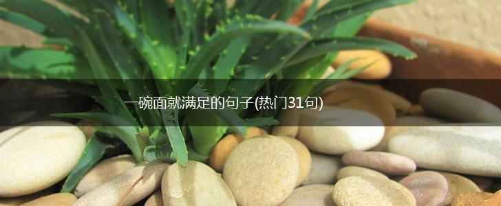 一碗面就满足的句子(热门31句),第1张