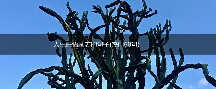人生感悟励志的句子(热门60句),第1张