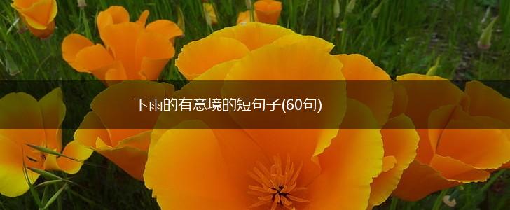 下雨的有意境的短句子(60句),第1张